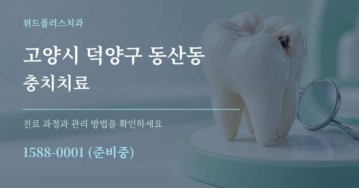 고양시 덕양구 동산동 충치치료 서비스 이용 안내 그래픽