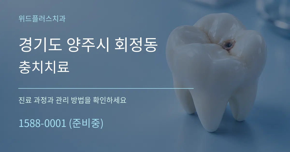 경기도 양주시 회정동 충치치료 작업 조건 안내 그래픽