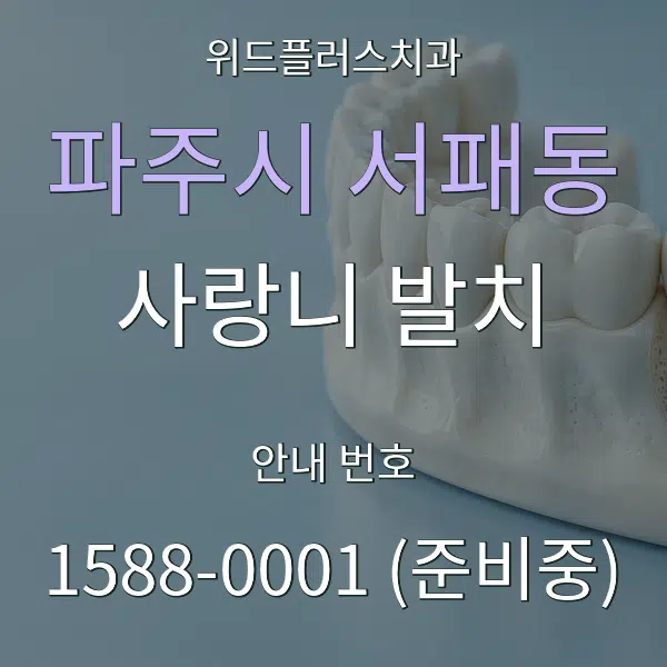 파주시 서패동 사랑니 발치 대표 안내 그래픽