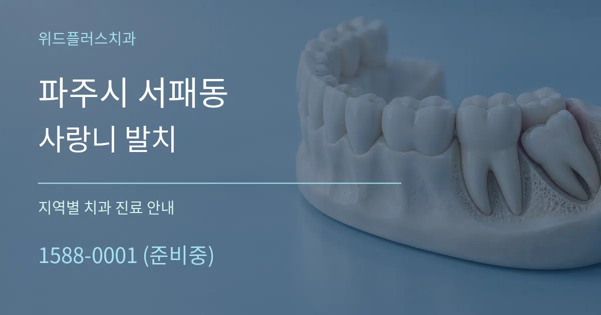 파주시 서패동 사랑니 발치 대표 안내 그래픽