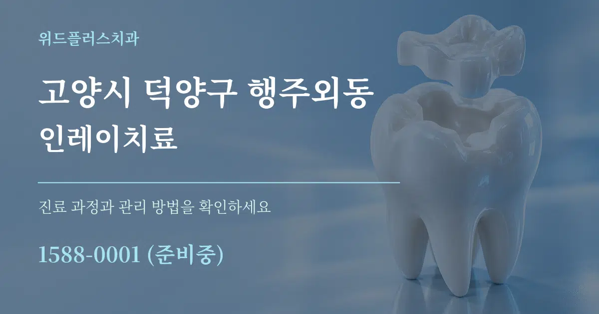 고양시 덕양구 행주외동 인레이치료 서비스 이용 안내 그래픽