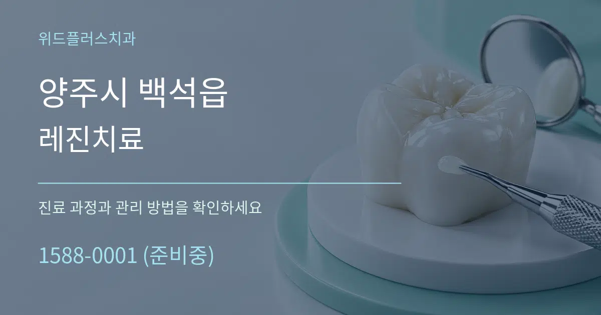 양주시 백석읍 레진치료 서비스 이용 안내 그래픽