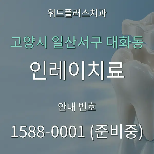 고양시 일산서구 대화동 인레이치료 대표 안내 그래픽