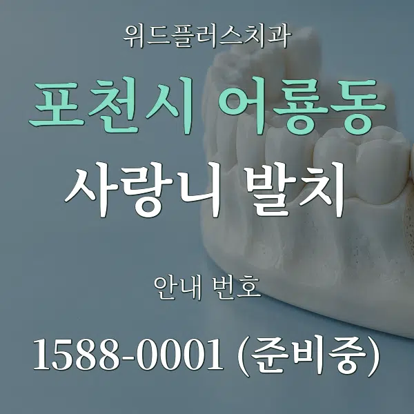 포천시 어룡동 사랑니 발치 대표 안내 그래픽