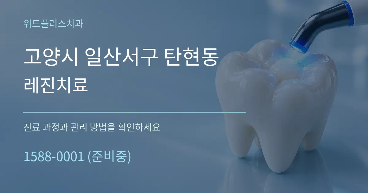 고양시 일산서구 탄현동 레진치료 작업 조건 안내 그래픽