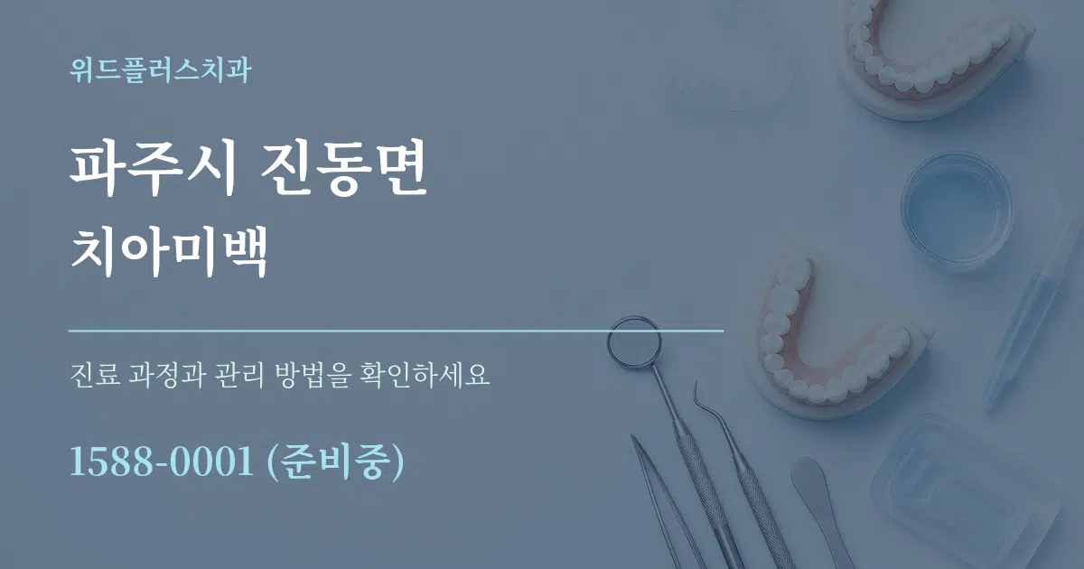 파주시 진동면 치아미백 서비스 이용 안내 그래픽