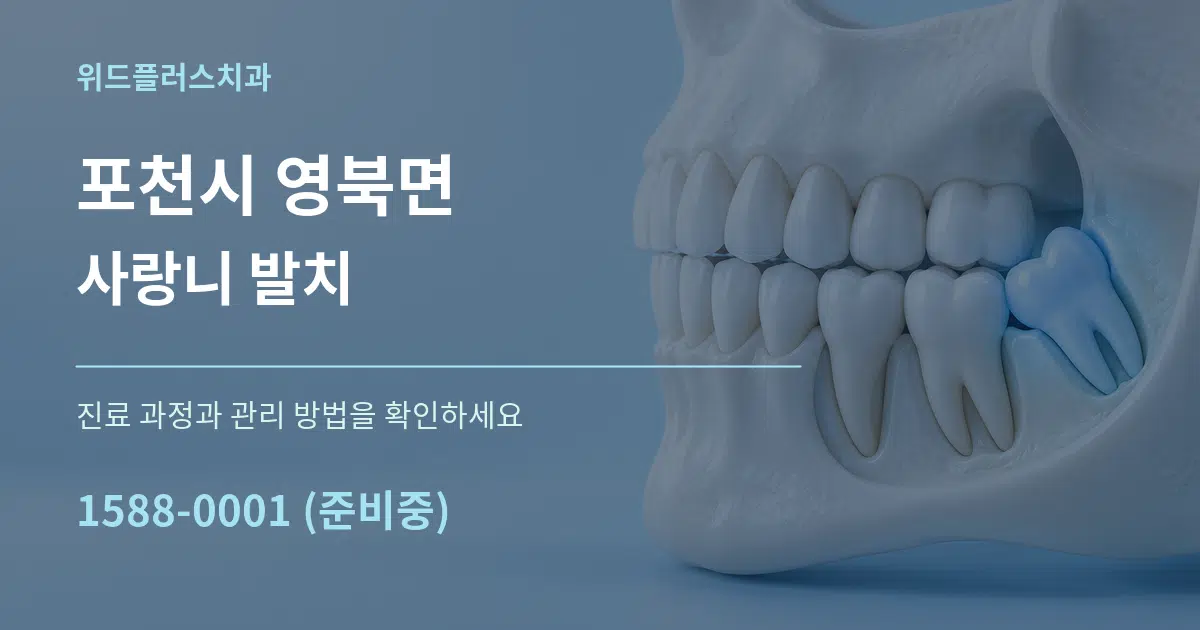 포천시 영북면 사랑니 발치 서비스 이용 안내 그래픽