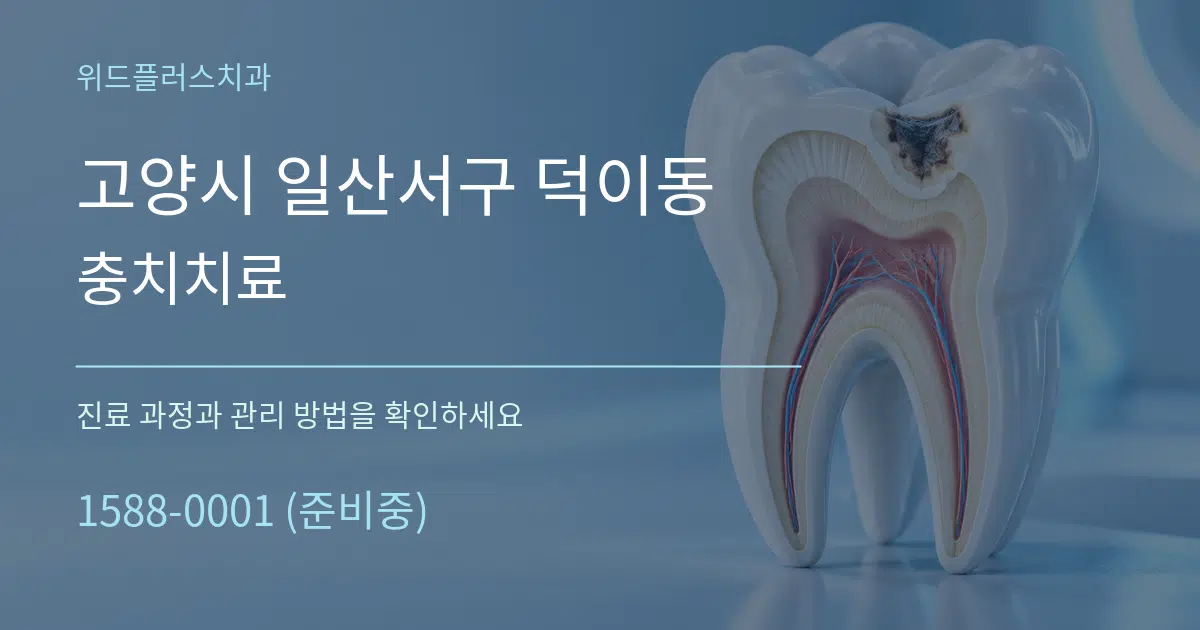 고양시 일산서구 덕이동 충치치료 서비스 이용 안내 그래픽
