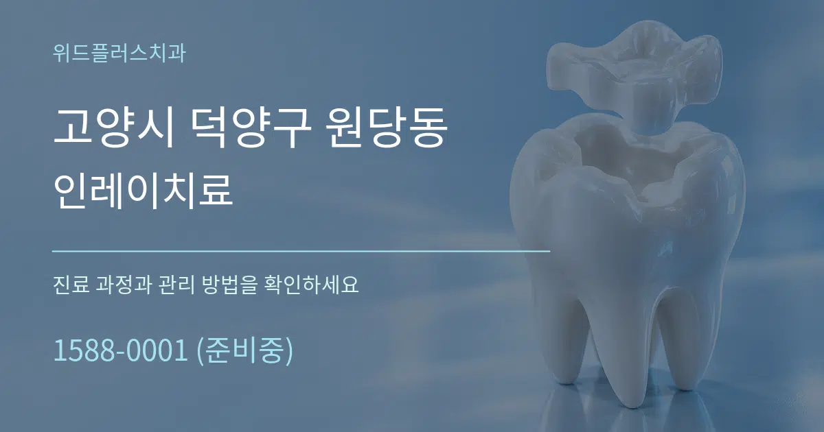 고양시 덕양구 원당동 인레이치료 서비스 이용 안내 그래픽