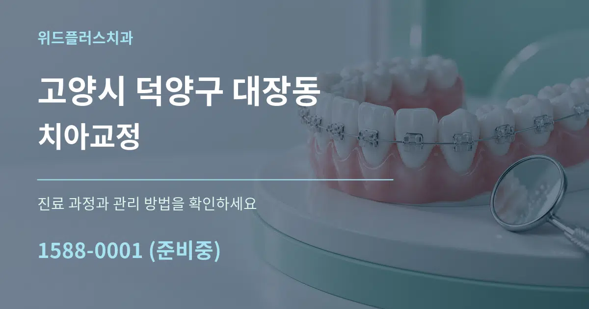고양시 덕양구 대장동 치아교정 작업 조건 안내 그래픽