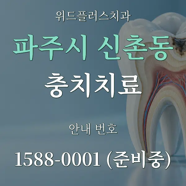 파주시 신촌동 충치치료 대표 안내 그래픽