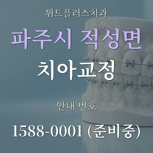 파주시 적성면 치아교정 대표 안내 그래픽