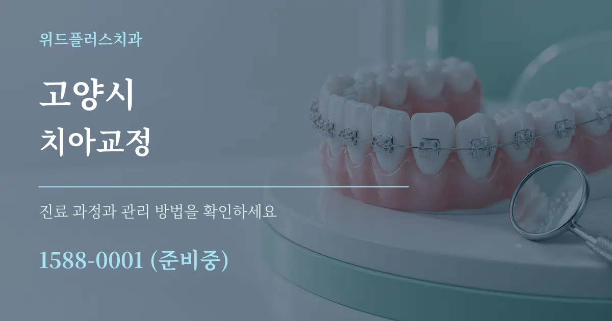 고양시 치아교정 작업 조건 안내 그래픽