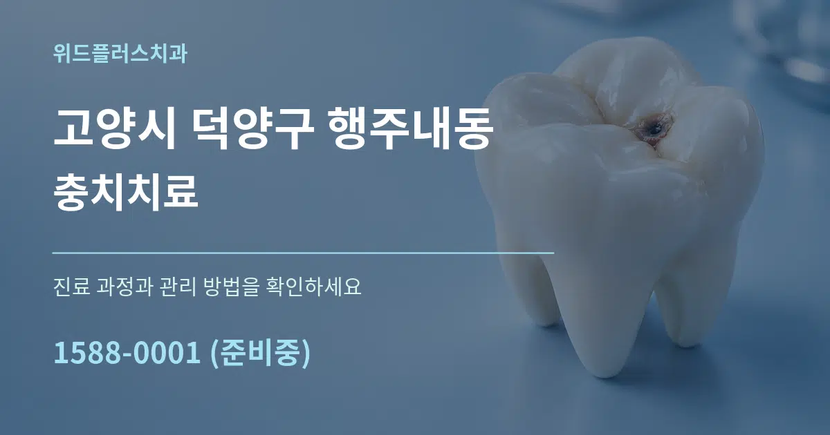 고양시 덕양구 행주내동 충치치료 서비스 이용 안내 그래픽