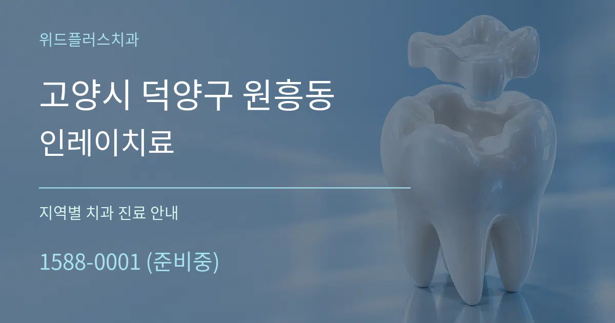 고양시 덕양구 원흥동 인레이치료 대표 안내 그래픽