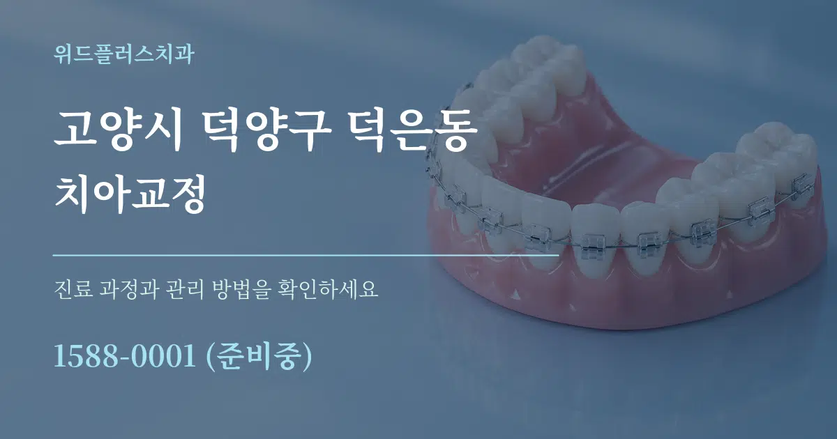 고양시 덕양구 덕은동 치아교정 서비스 이용 안내 그래픽