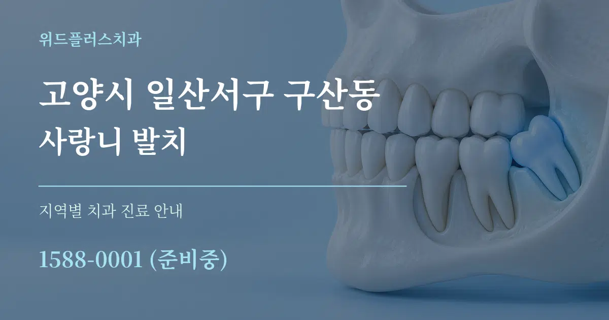 고양시 일산서구 구산동 사랑니 발치 대표 안내 그래픽