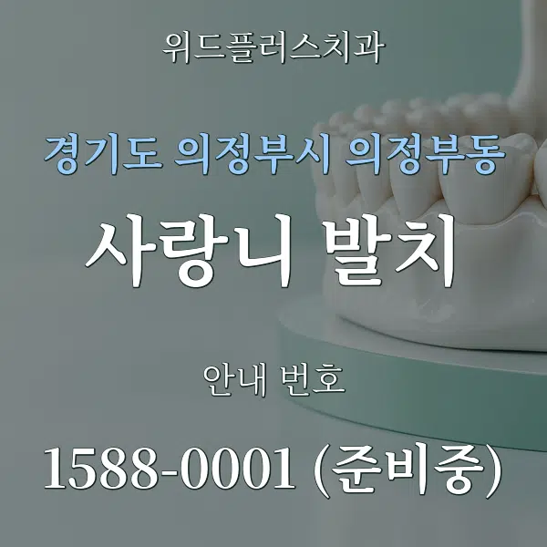 경기도 의정부시 의정부동 사랑니 발치 대표 안내 그래픽
