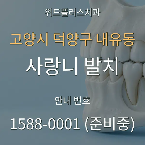 고양시 덕양구 내유동 사랑니 발치 대표 안내 그래픽
