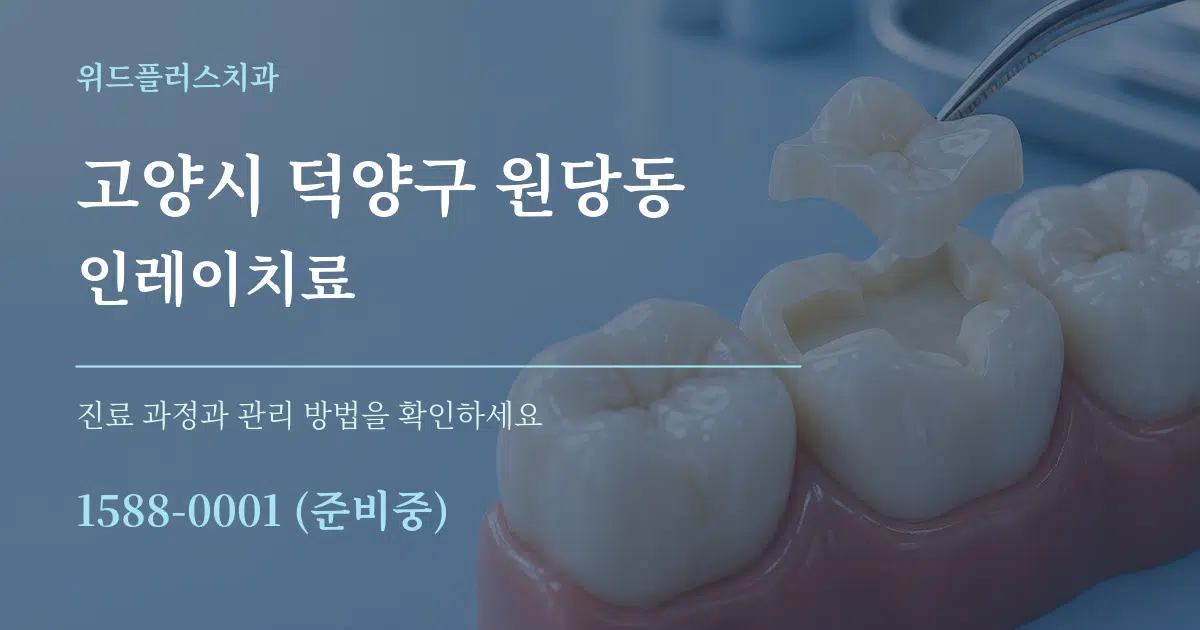 고양시 덕양구 원당동 인레이치료 작업 조건 안내 그래픽
