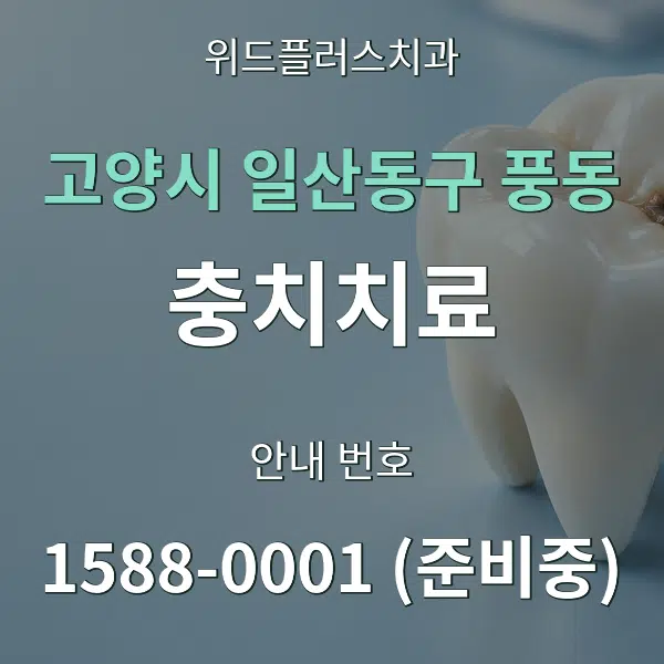 고양시 일산동구 풍동 충치치료 대표 안내 그래픽