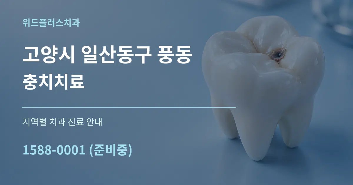 고양시 일산동구 풍동 충치치료 대표 안내 그래픽