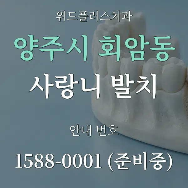 양주시 회암동 사랑니 발치 대표 안내 그래픽