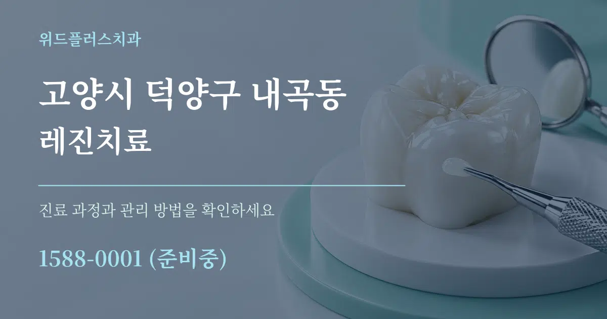 고양시 덕양구 내곡동 레진치료 서비스 이용 안내 그래픽