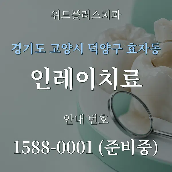 경기도 고양시 덕양구 효자동 인레이치료 대표 안내 그래픽