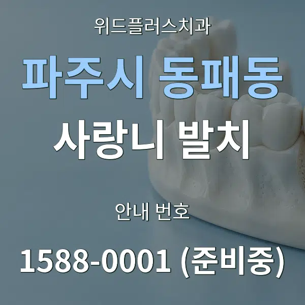 파주시 동패동 사랑니 발치 대표 안내 그래픽