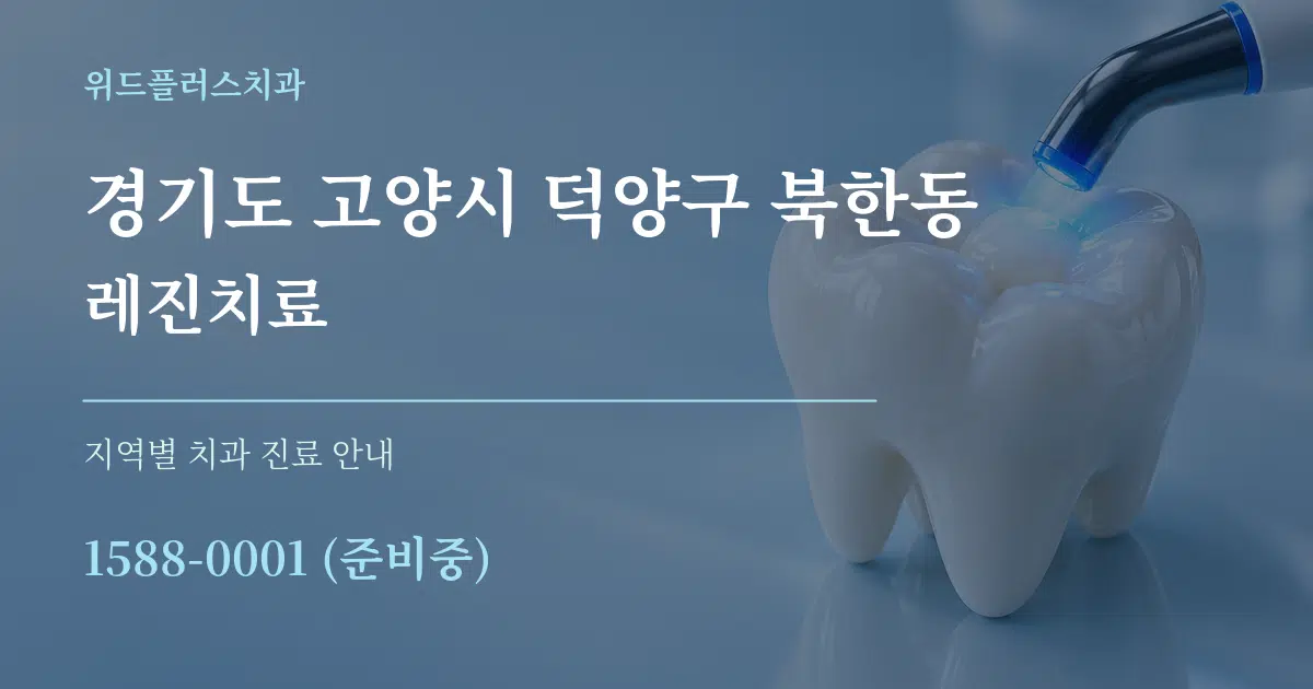 경기도 고양시 덕양구 북한동 레진치료 대표 안내 그래픽