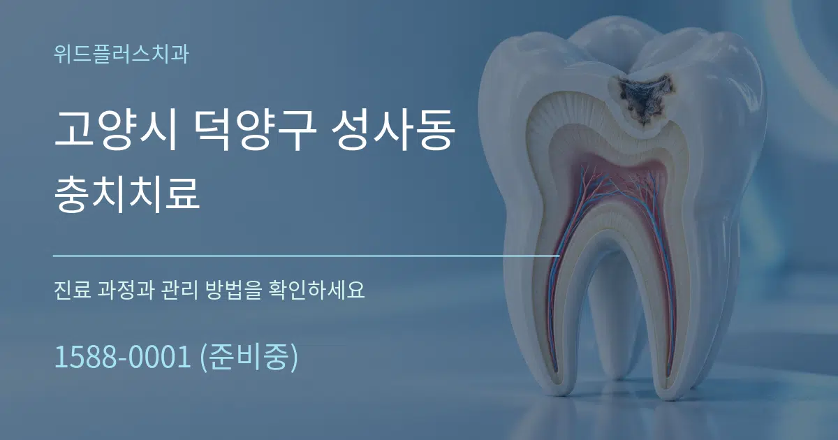 고양시 덕양구 성사동 충치치료 작업 조건 안내 그래픽