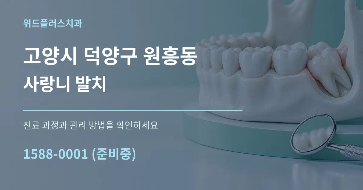 고양시 덕양구 원흥동 사랑니 발치 작업 조건 안내 그래픽