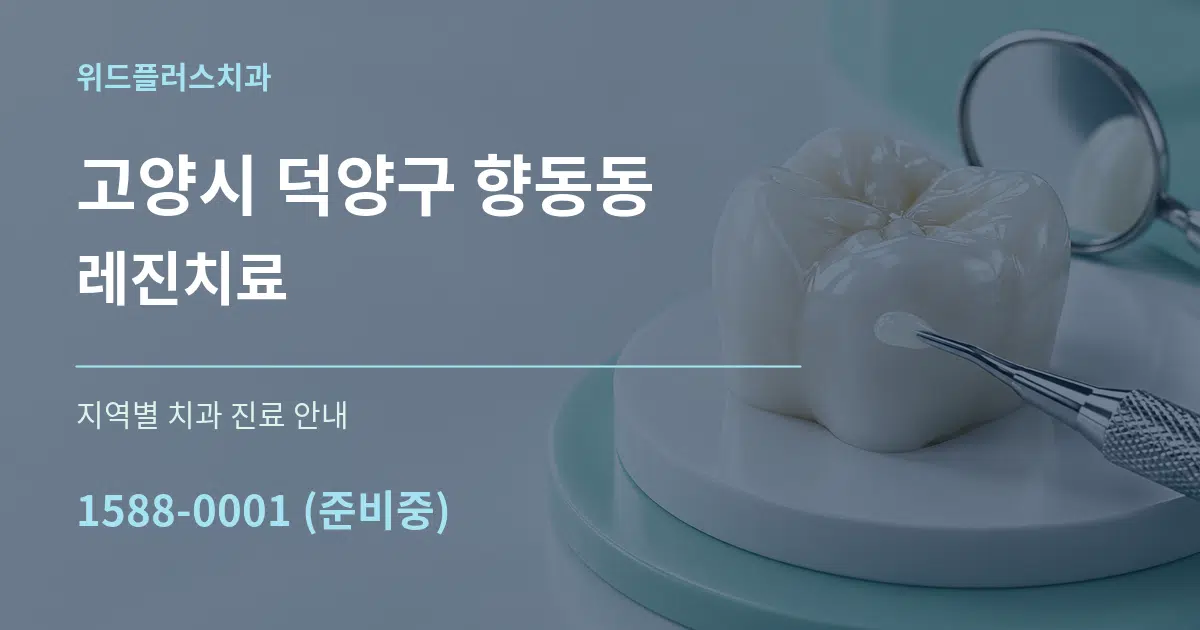 고양시 덕양구 향동동 레진치료 대표 안내 그래픽