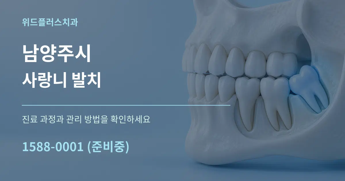 남양주시 사랑니 발치 서비스 이용 안내 그래픽