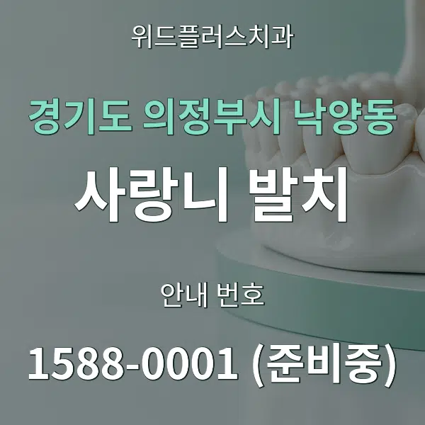 경기도 의정부시 낙양동 사랑니 발치 대표 안내 그래픽