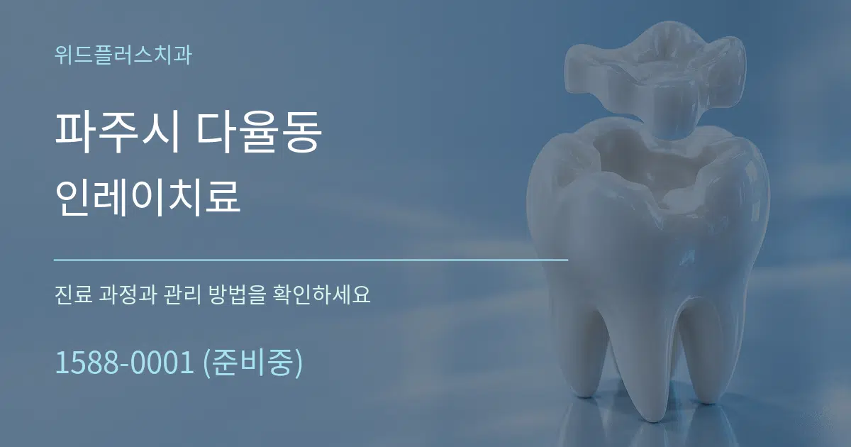 파주시 다율동 인레이치료 서비스 이용 안내 그래픽