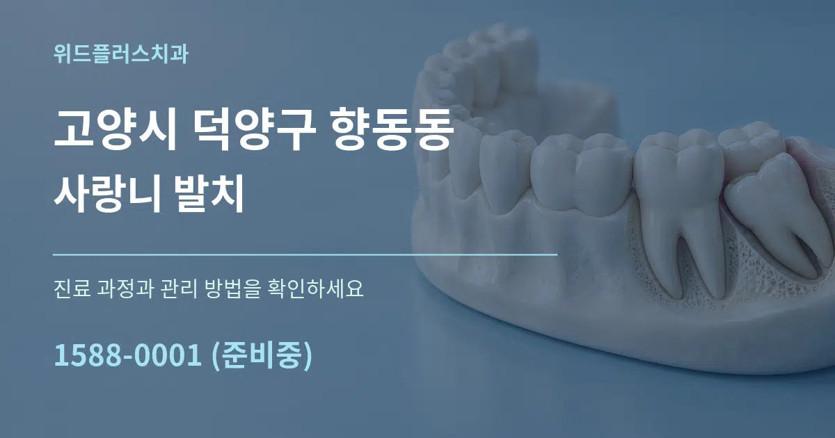 고양시 덕양구 향동동 사랑니 발치 작업 조건 안내 그래픽