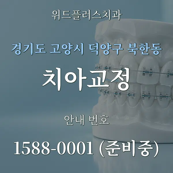 경기도 고양시 덕양구 북한동 치아교정 대표 안내 그래픽
