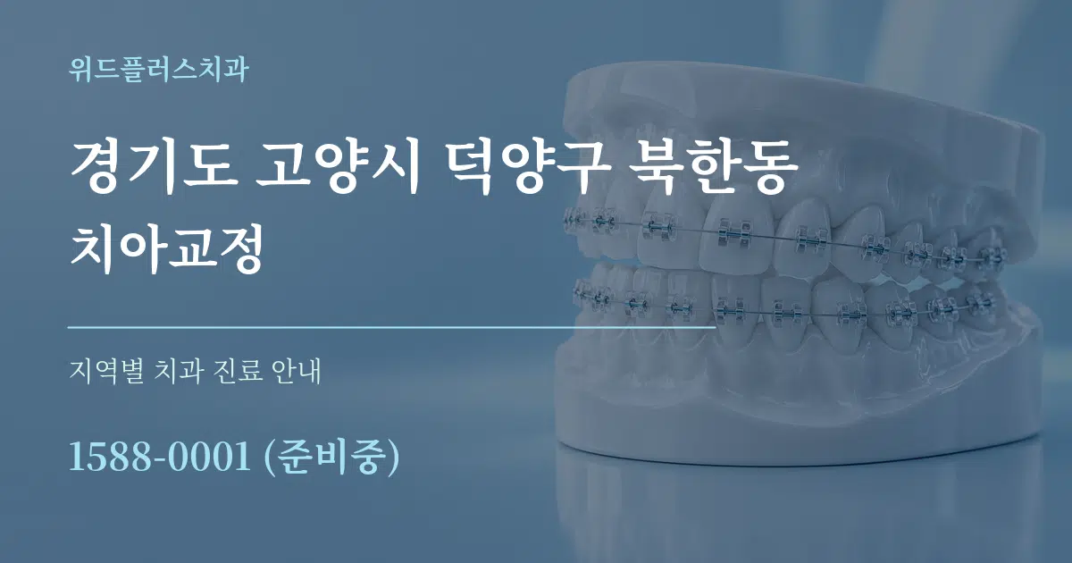 경기도 고양시 덕양구 북한동 치아교정 대표 안내 그래픽