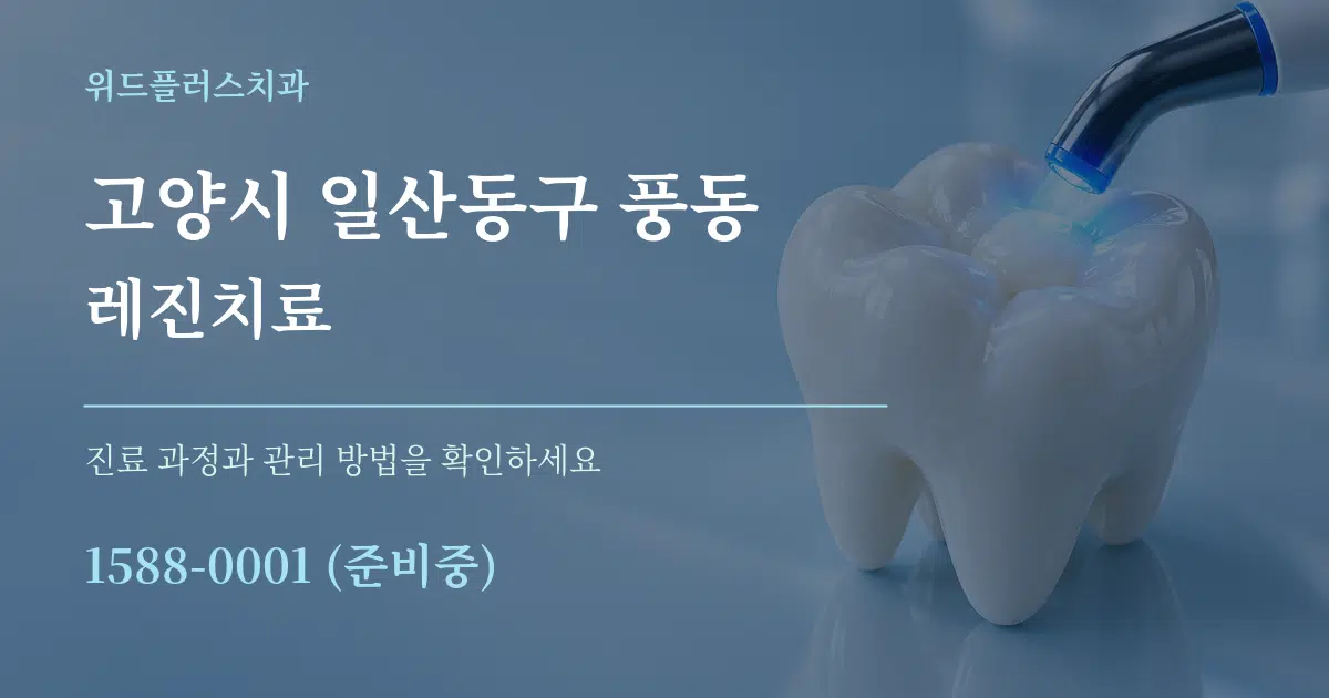 고양시 일산동구 풍동 레진치료 작업 조건 안내 그래픽