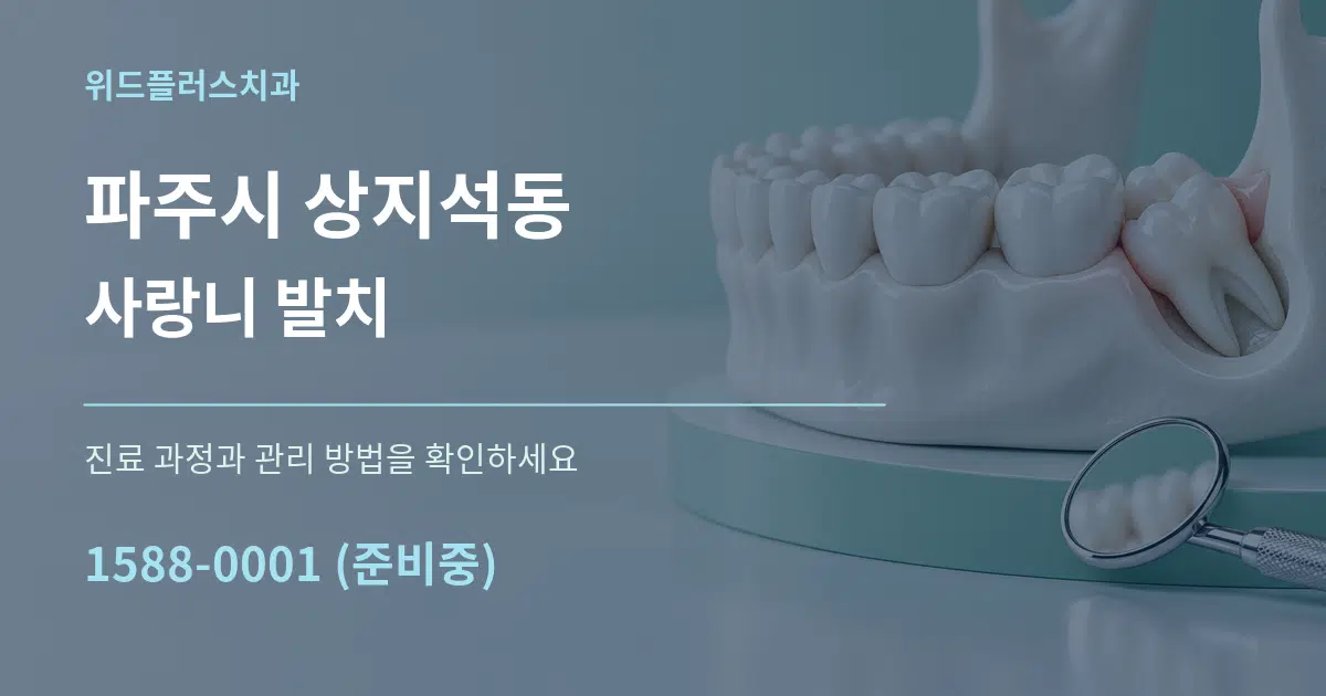 파주시 상지석동 사랑니 발치 작업 조건 안내 그래픽