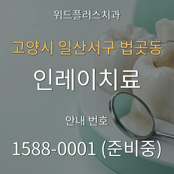 고양시 일산서구 법곳동 인레이치료 대표 안내 그래픽