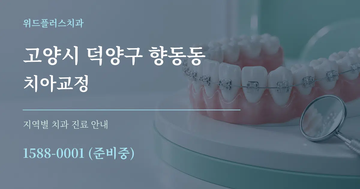 고양시 덕양구 향동동 치아교정 대표 안내 그래픽