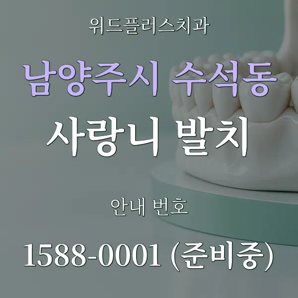 남양주시 수석동 사랑니 발치 대표 안내 그래픽