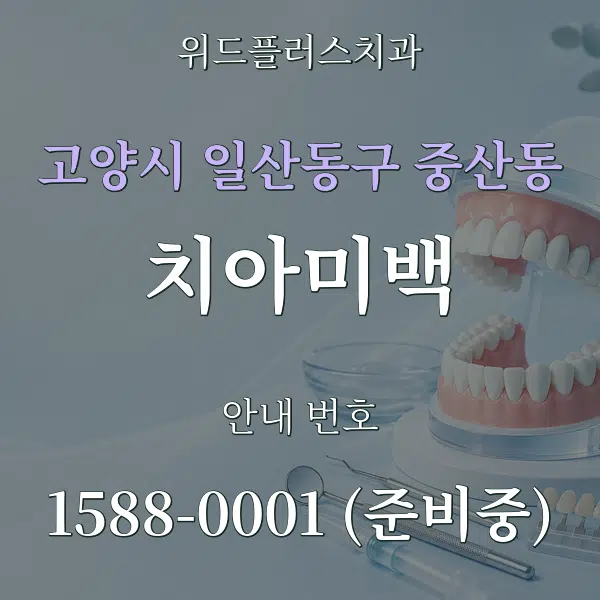 고양시 일산동구 중산동 치아미백 대표 안내 그래픽