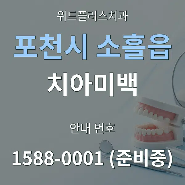 포천시 소흘읍 치아미백 대표 안내 그래픽