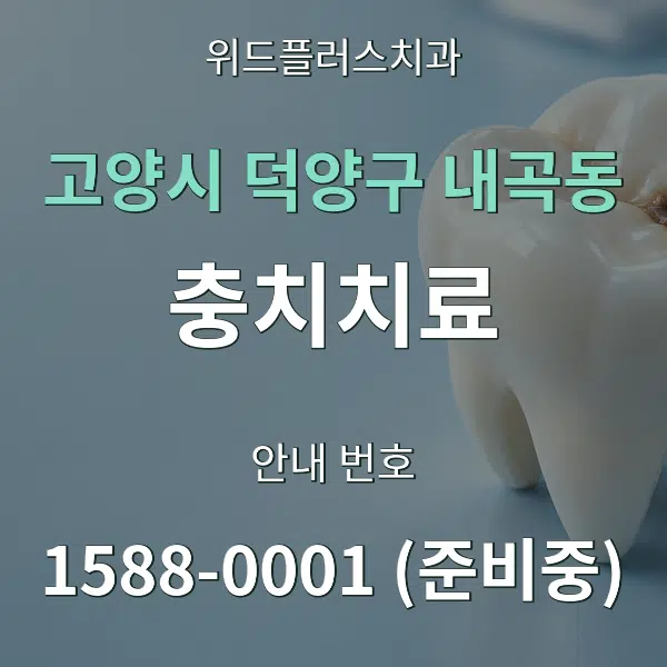 고양시 덕양구 내곡동 충치치료 대표 안내 그래픽