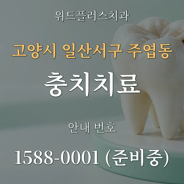 고양시 일산서구 주엽동 충치치료 대표 안내 그래픽