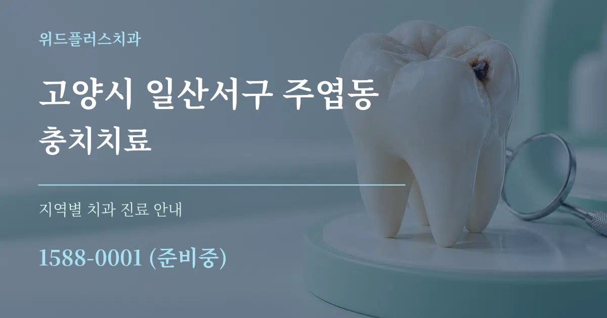 고양시 일산서구 주엽동 충치치료 대표 안내 그래픽